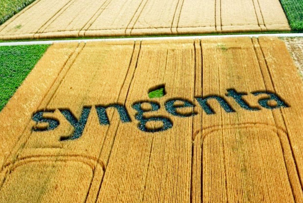 Boa Safra arrenda unidade industrial da Syngenta Seeds de Ituiutaba