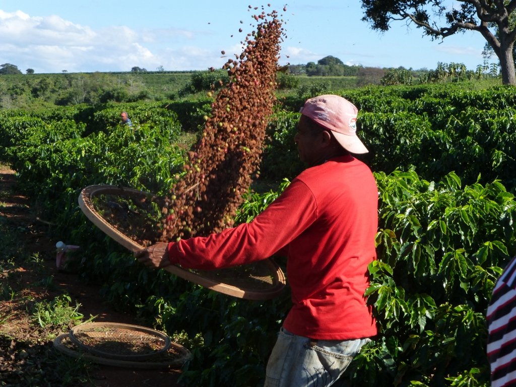 CNC rebate generalizações e condena qualquer forma de trabalho degradante