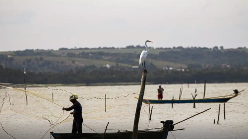 Comissão aprova endurecimento de regras para o Seguro Defeso