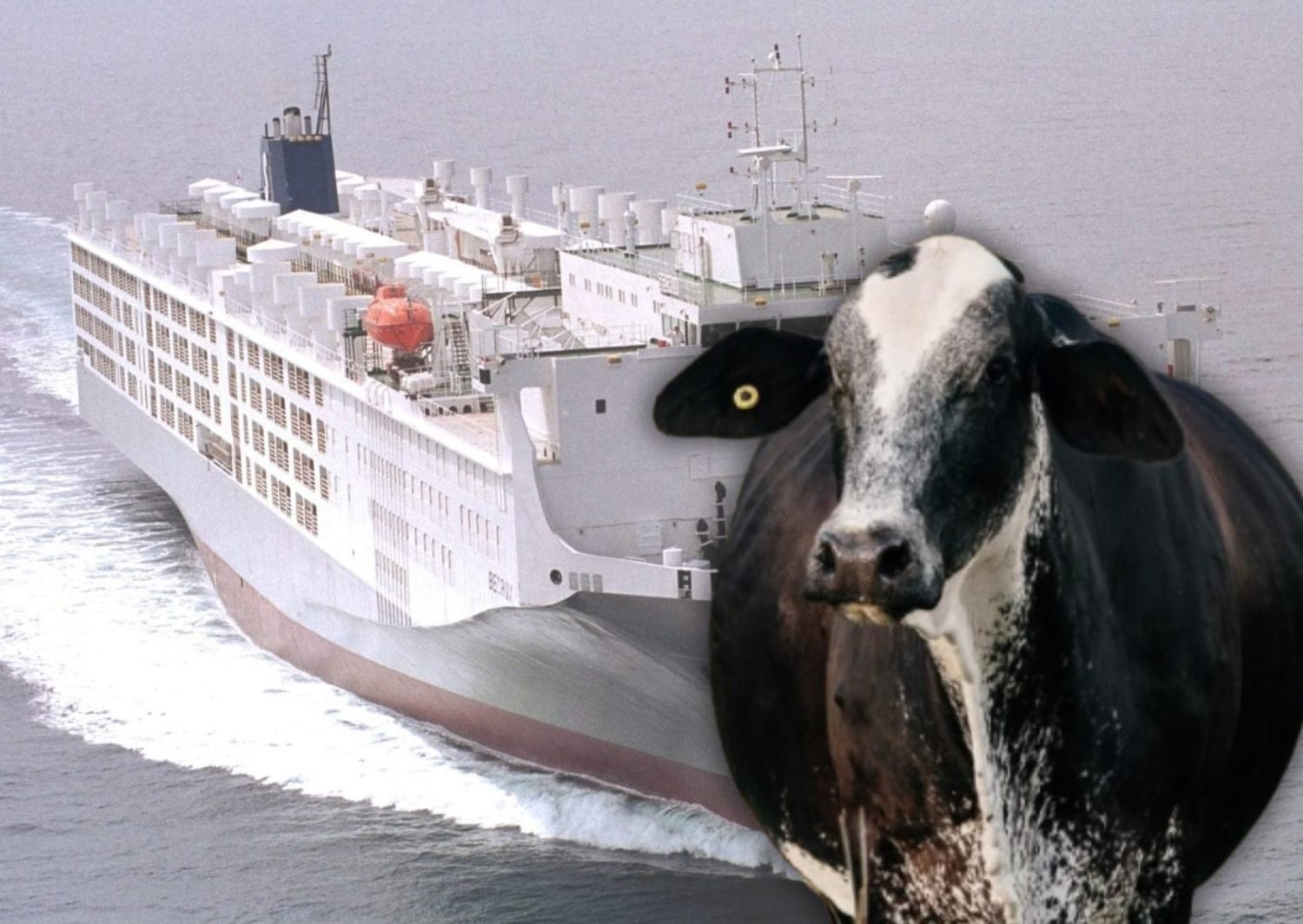 Aberturas de mercado para o Brasil em Ruanda