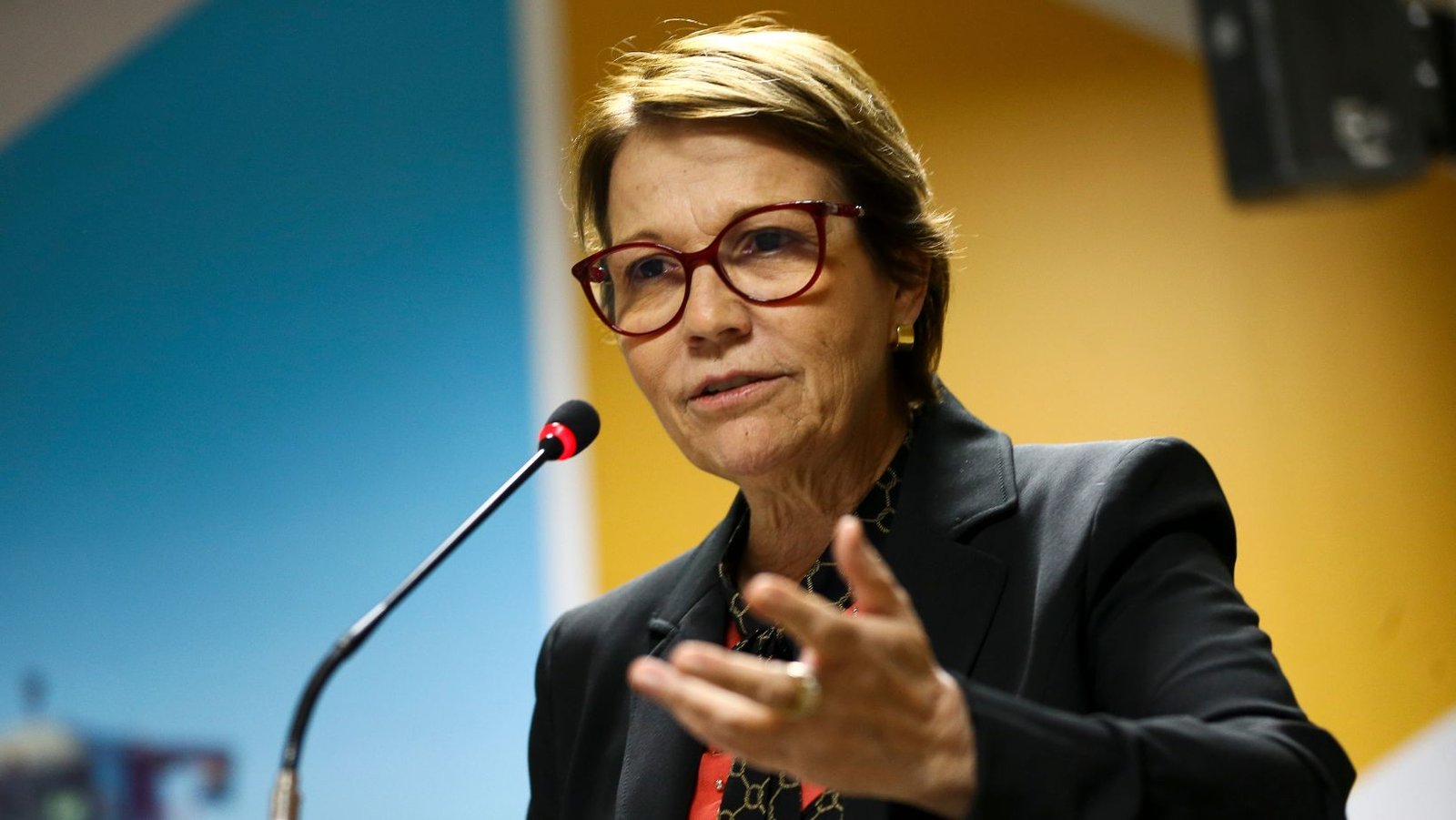 Tereza Cristina classifica a oferta de fertilizantes como tema de segurança nacional