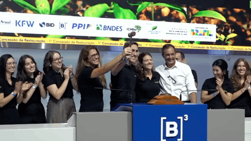 Governo faz 1º leilão federal de floresta para crédito de carbono