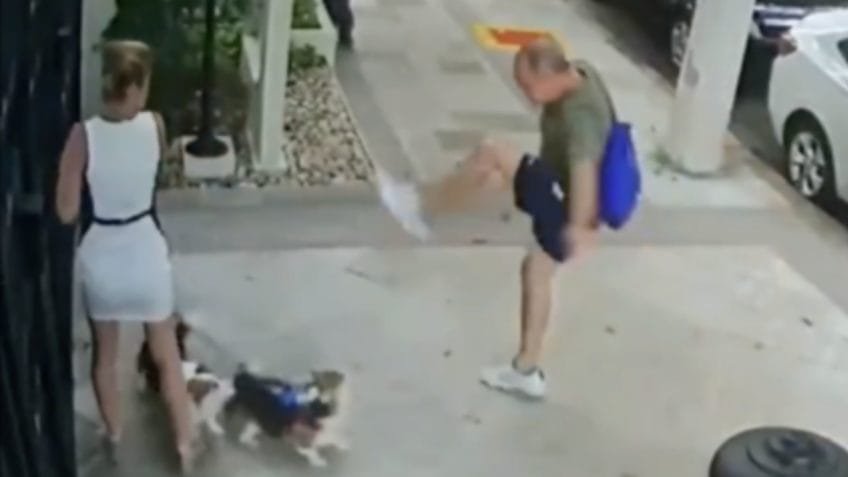 Empresário é condenado por chutar cães da irmã do ministro Zanin