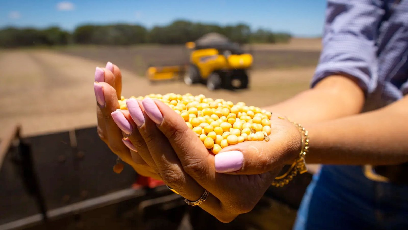 Manejo estratégico: regulação de porte na soja deve começar antes do plantio para garantir teto produtivo