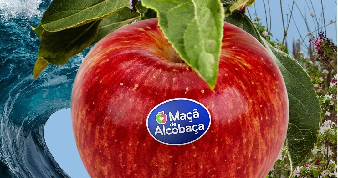 Maçã de Alcobaça marca presença na Fruit Attraction São Paulo 2026