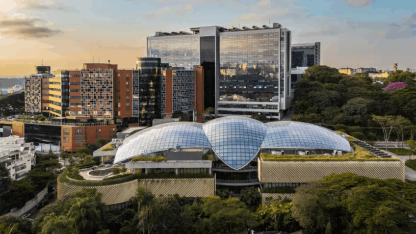 Einstein fecha parceria federal para acelerar uso de IA na saúde