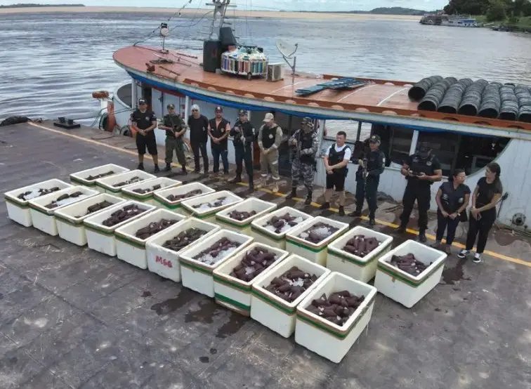 Operação apreende 2 mil litros de polpa de açaí sem registro em barcos