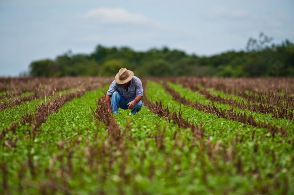 Nova legislação para o trabalho no campo avança após aprovação no Senado