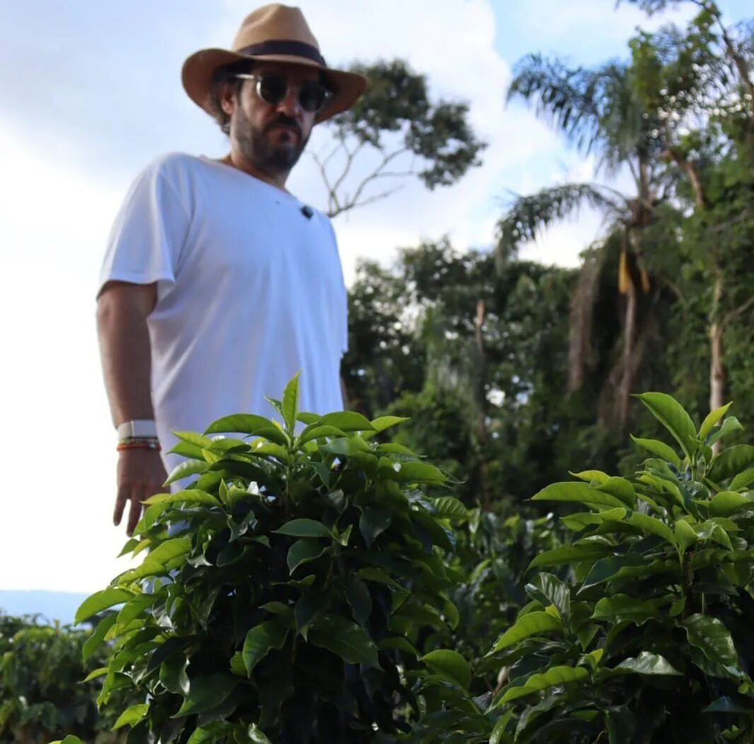 Brasil assume vanguarda do mercado de luxo do café mundial