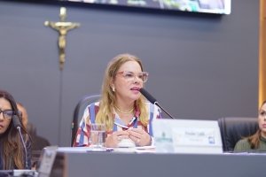 Projeto que cria o Cadastro Municipal de Artistas e Trabalhadores da Cultura em Cuiabá é aprovado pela CCJR