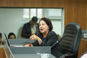 Baixinha Giraldelli destaca ações e desafios da infraestrutura na capital