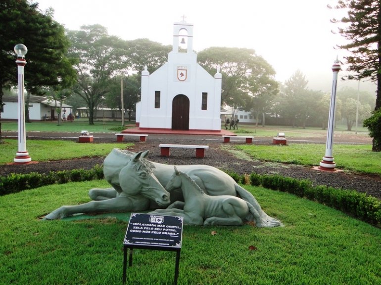 Conheça a fazenda do Exército que forja e exporta cavalos militares