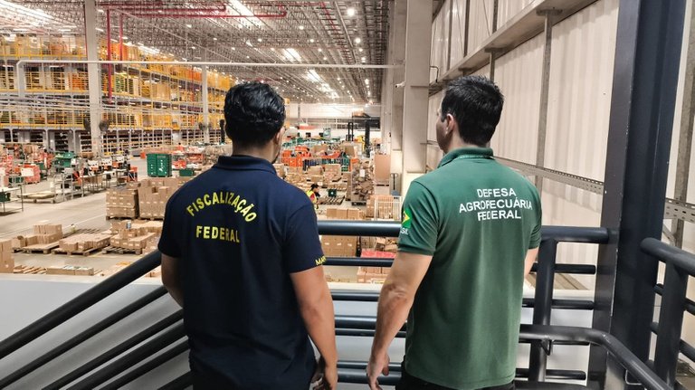 Mapa realiza operação “Forum Vinarium” contra comércio eletrônico irregular de bebidas e azeite em centros logísticos