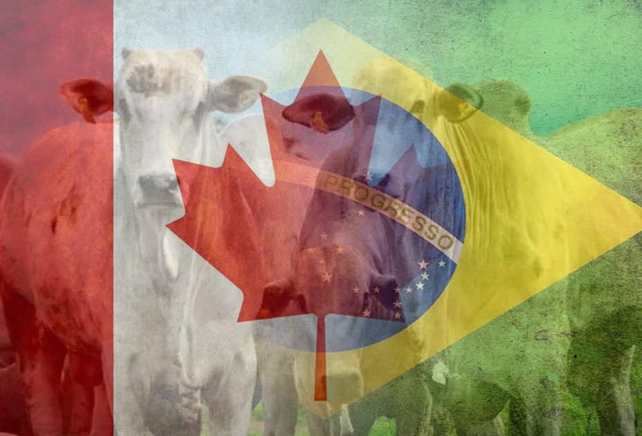 Mercosul e Canadá se aproximam de acordo de livre comércio com negociações em abril
