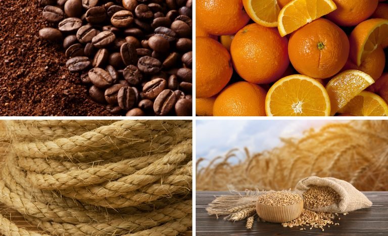 Mapa publica preços mínimos para café, laranja, sisal, trigo em grãos e semente de trigo da safra 2026/2027