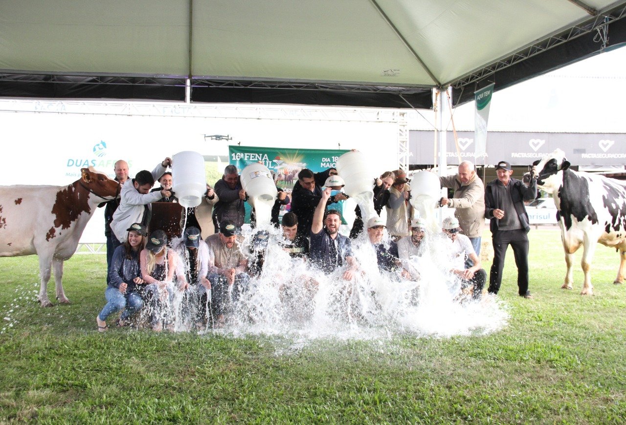 Fenasul Expoleite projeta recorde de animais e inicia definição da programação