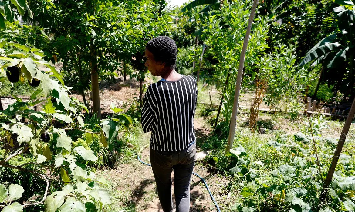 Horta comunitária reúne memória, cuidado e cidadania em favela do Rio