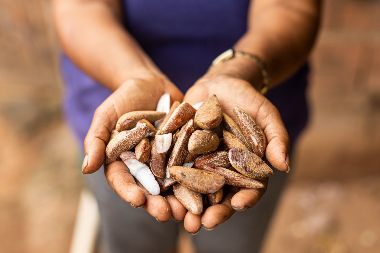 Suzano contribui para retirar mais de 140 mil pessoas da linha da pobreza em cinco anos em suas regiões de atuação 