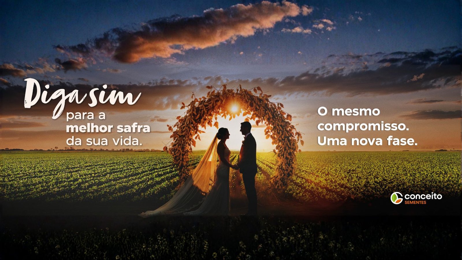 A melhor safra começa com sementes de alto padrão