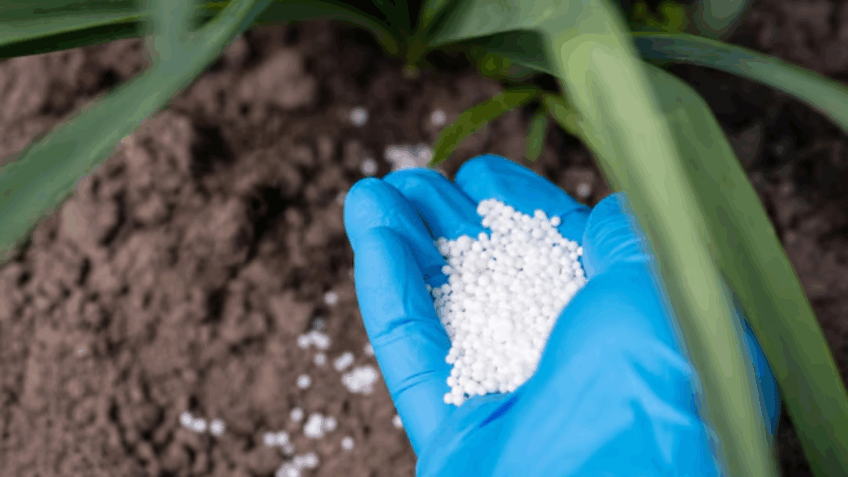 Preço da ureia dispara e atinge maior patamar desde 2022