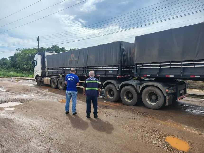 Operação apreende 17 toneladas de mel avaliadas em R$ 241,5 mil