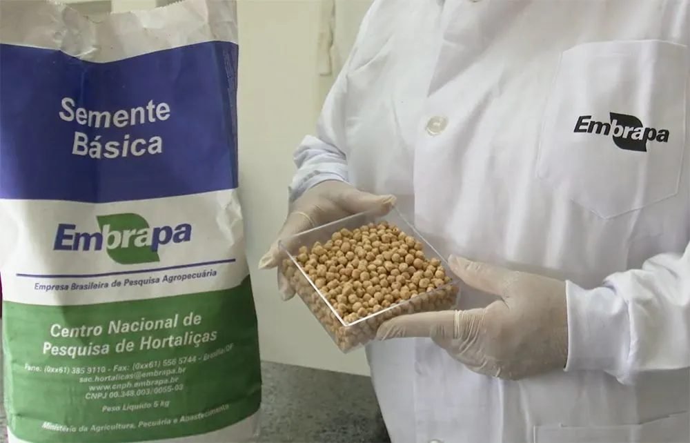 Brasil na Lua: Embrapa estuda o desenvolvimento de alimentos lunares
