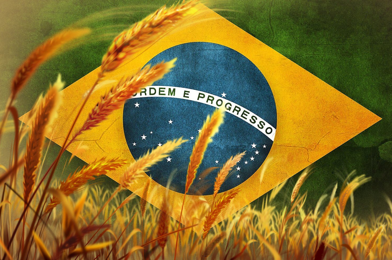 Sindustrigo alerta para potencial alta de preços de farinha de trigo em São Paulo