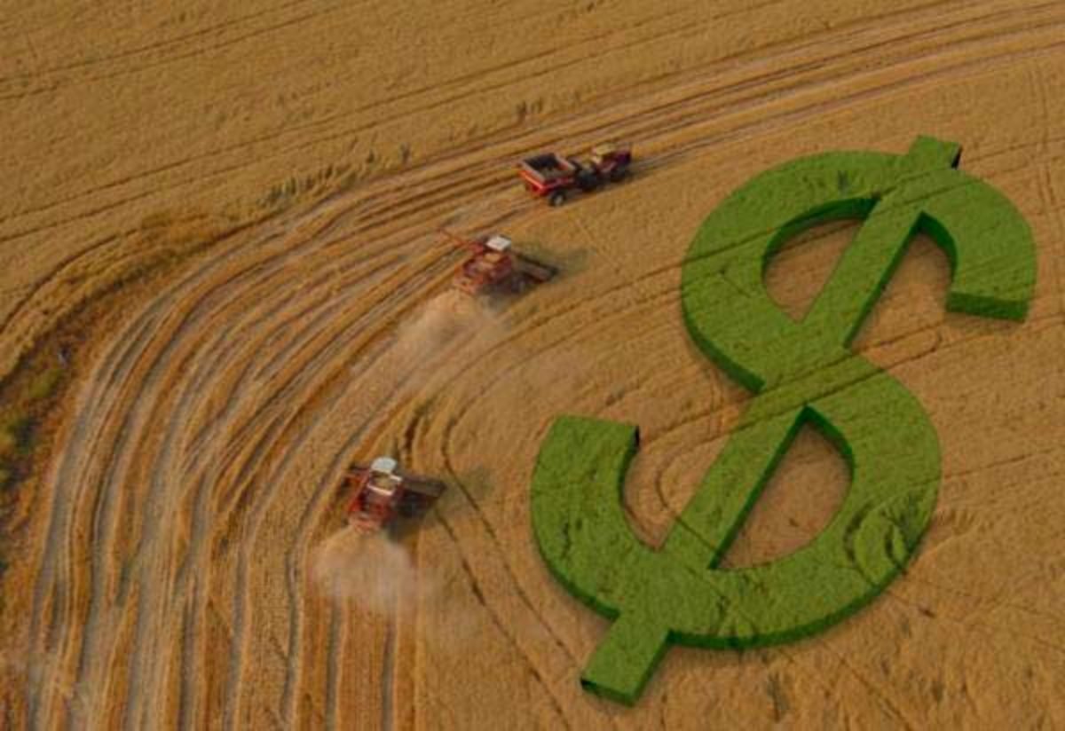 FPA pressiona por adiamento de novas regras e alerta para risco no crédito rural no Brasil