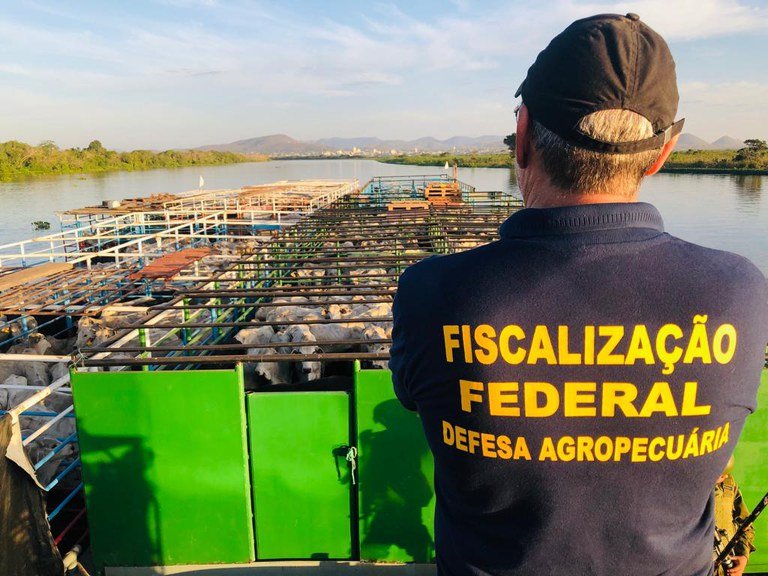 Nova lei amplia adicional de fronteira e reforça atuação da defesa agropecuária nas regiões estratégicas do país