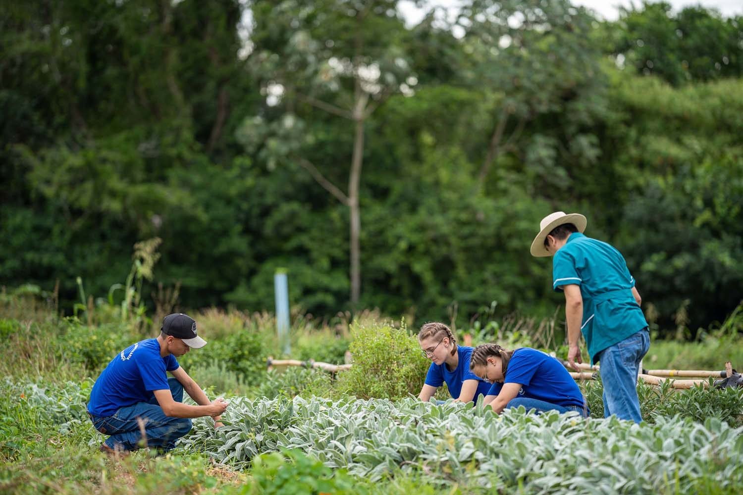 Colégio agrícola de Castro atinge receita milionária com produção no ensino técnico