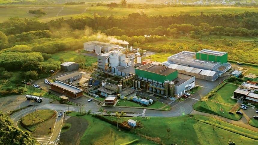 Nova levedura aumenta produção do etanol de milho em 9%