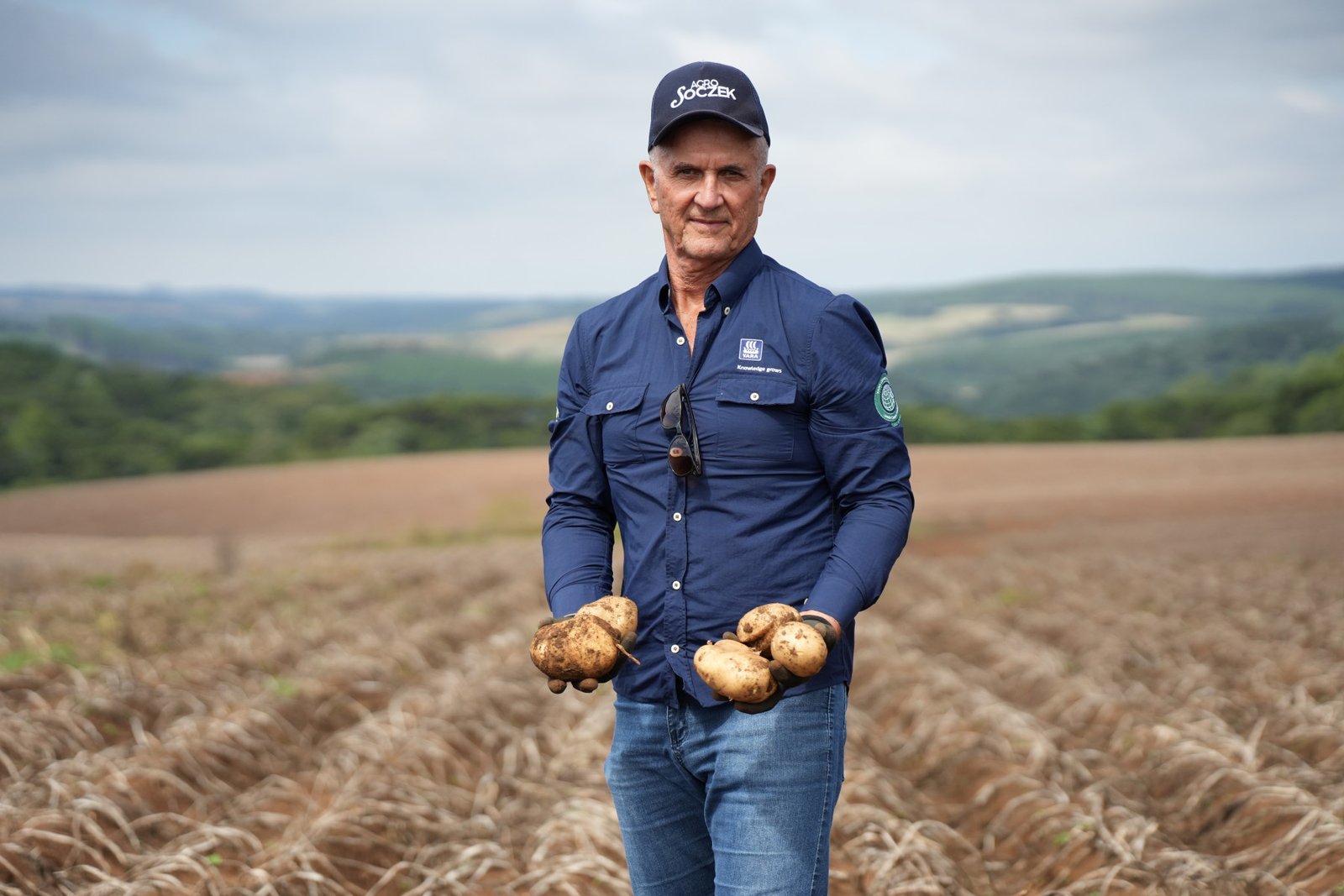 Yara e PepsiCo colhem a primeira batata de baixíssimo carbono do Brasil