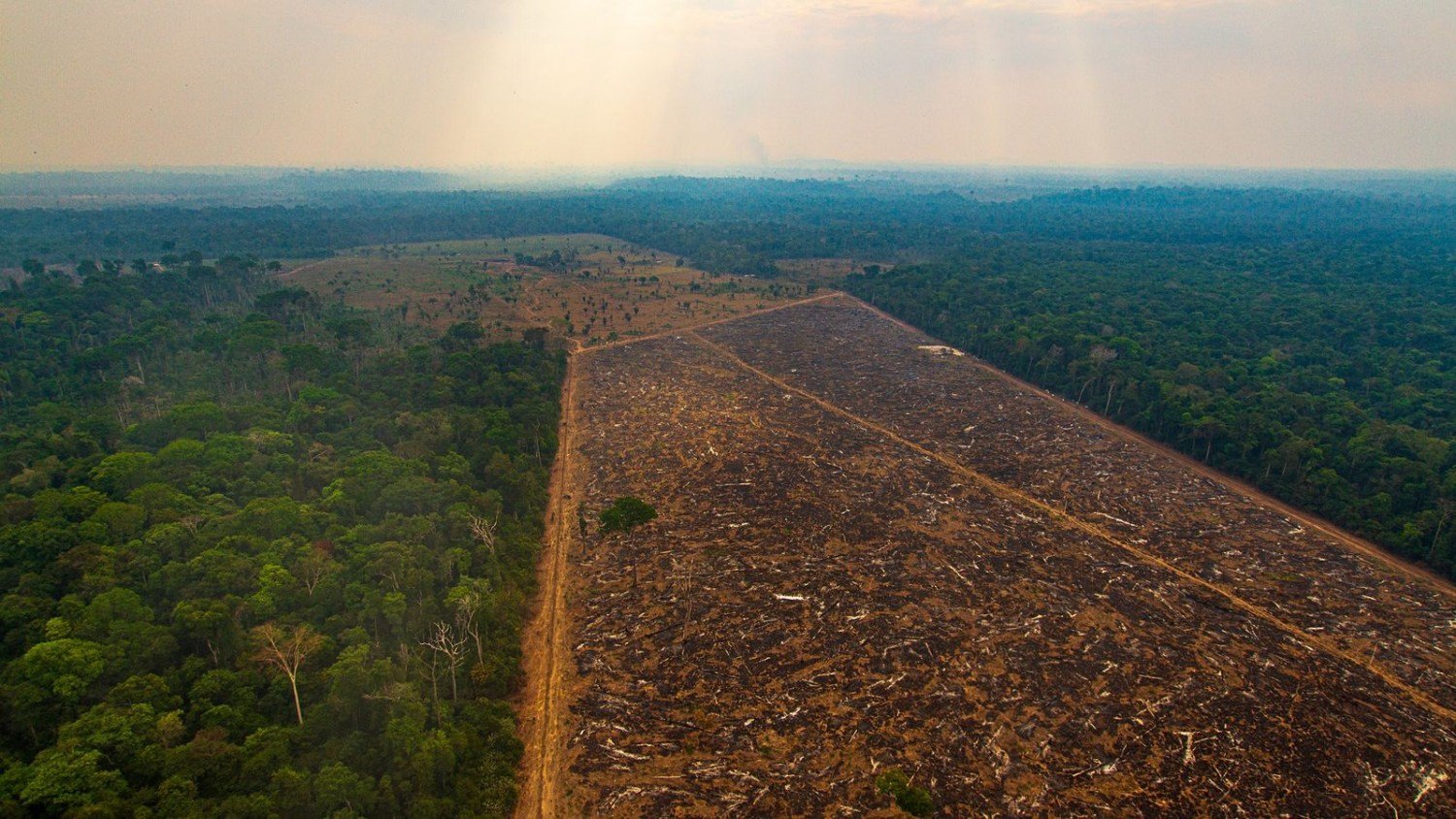 CNA alerta produtor sobre regras do Prodes