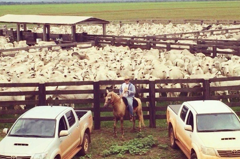 Fazendas de R$ 200 milhões não “espantam” compradores – a forma como chegam até eles, sim