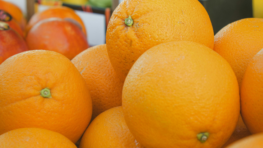 Doença que atinge laranjas bate recorde na safra 2025/26