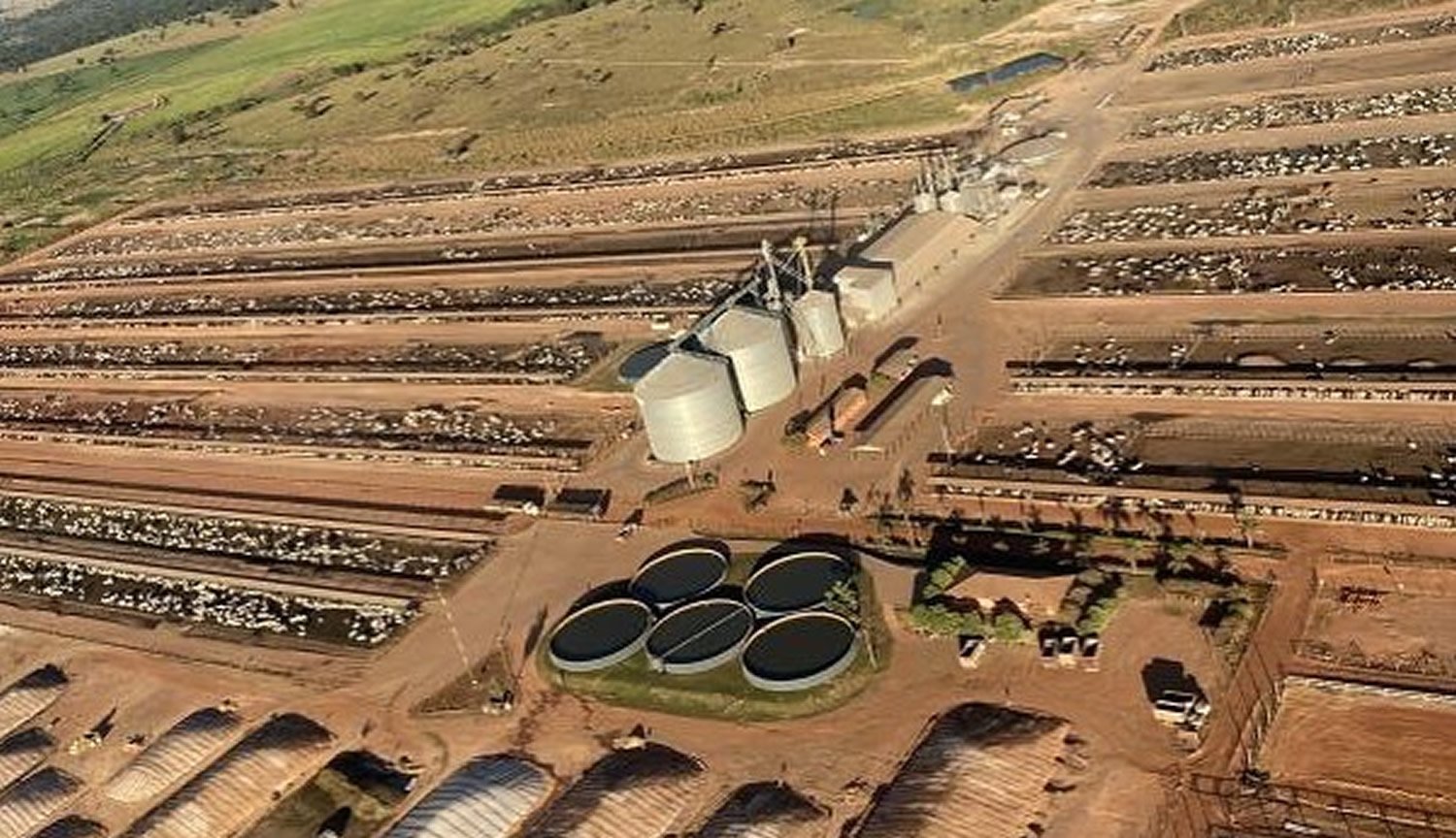 JBJ negocia compra da Fazenda Conforto, uma das maiores fazendas de confinamento do Brasil