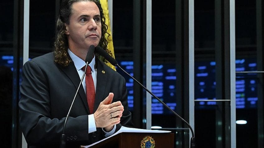 Senado aprova guarda compartilhada de animais de estimação