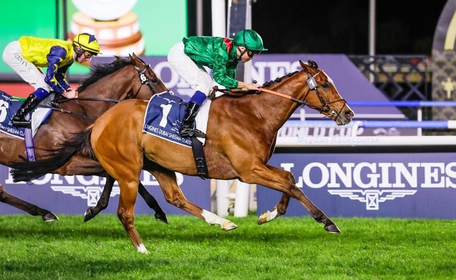Com título de “melhor cavalo de corrida do mundo”, Calandagan vence o Dubai Sheema Classic