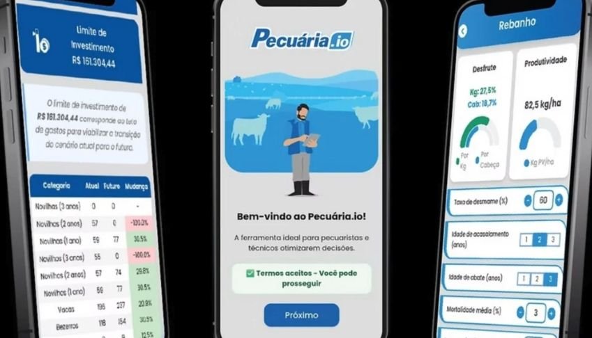 Embrapa lança Simulador Pecuária.io com foco na rentabilidade do pecuarista; conheça