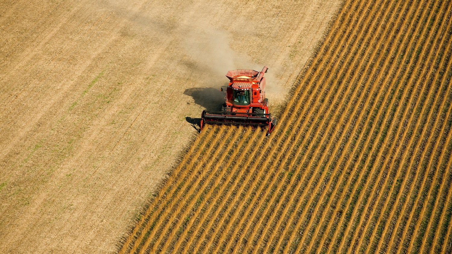 AgRural: Colheita de soja avança para 82% no Brasil; chuva atinge estados mais tardios