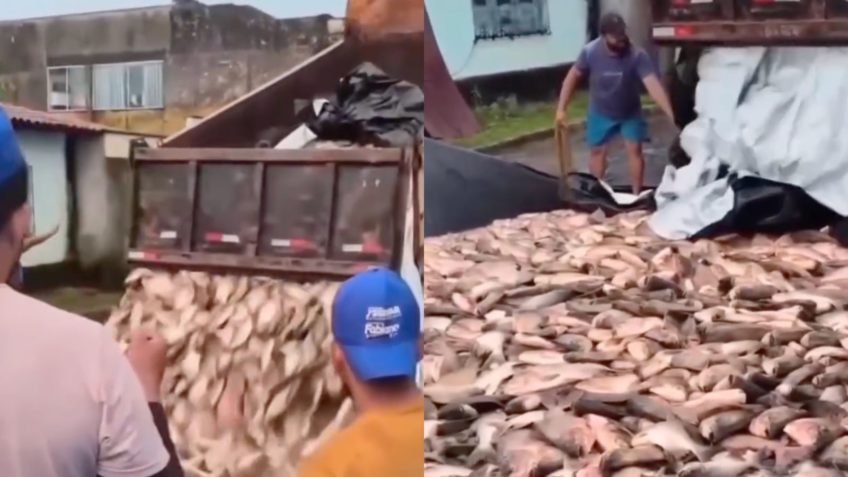 Prefeitura do Maranhão entrega peixes em caminhão na Semana Santa