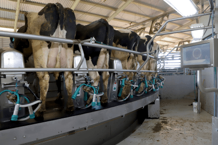 Leite sobe no varejo do Paraná, mas repasse ao produtor ainda é lento