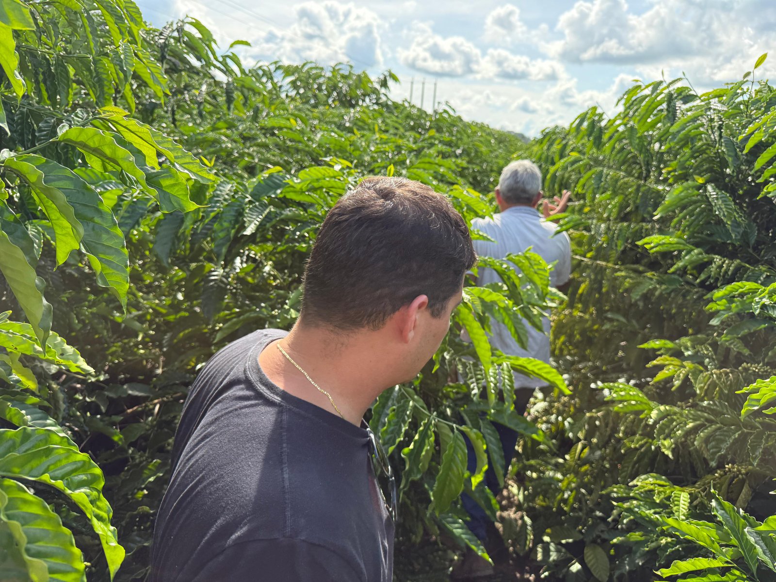 Mato Grosso amplia protagonismo nacional na assistência técnica rural com eleição na Asbraer