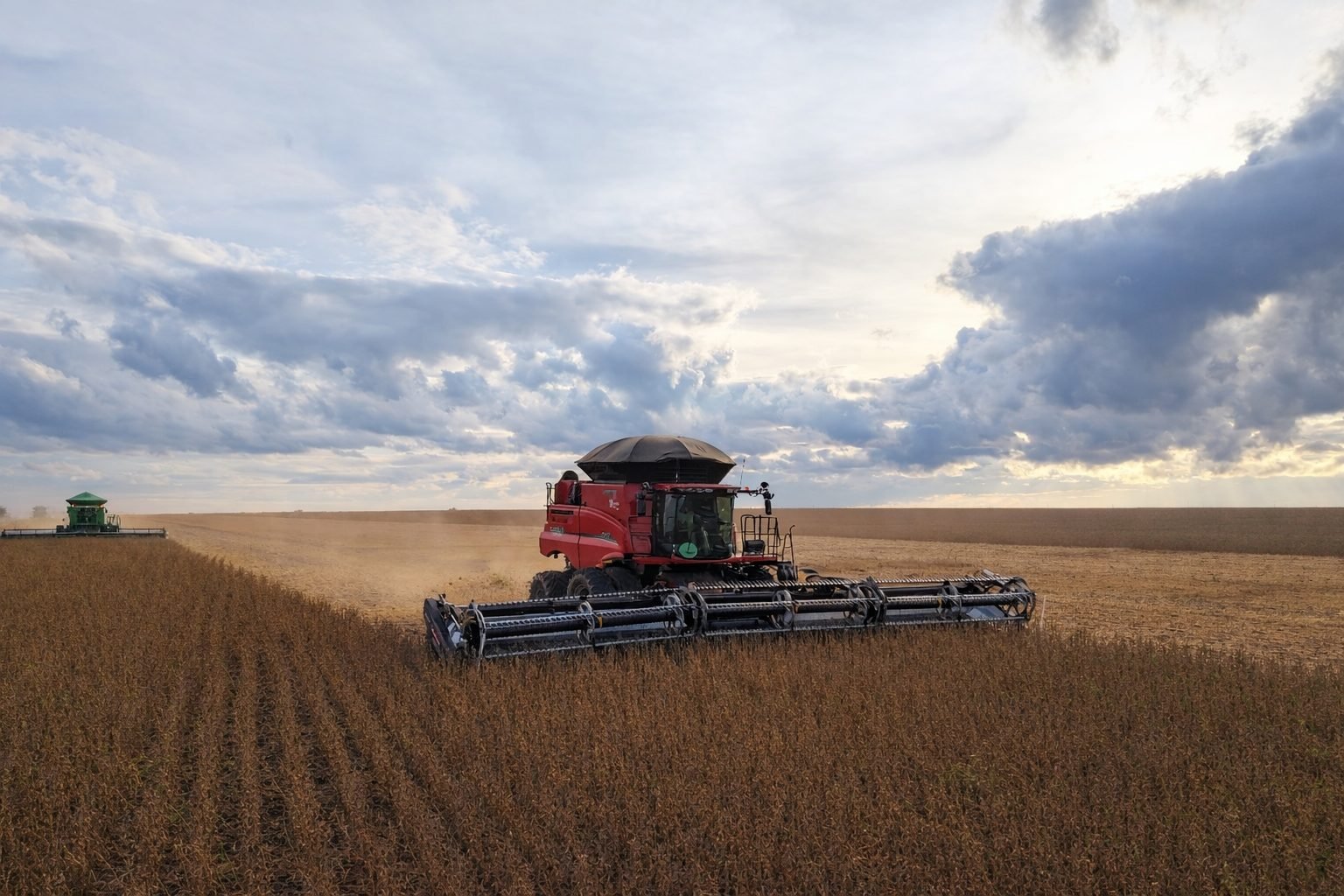 Governo aumenta impostos para o agronegócio; Fertilizantes ficam mais caros e custo explode