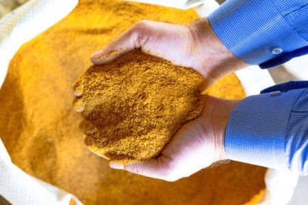 Etanol de milho: China recebe primeiras cargas de DDGS do Brasil