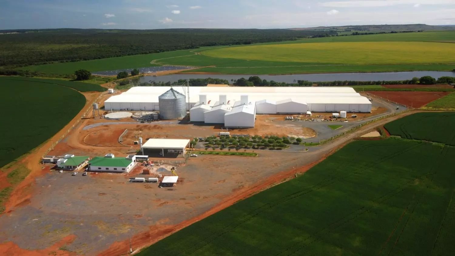 Boa Safra fecha parceria de quase US$ 10 milhões para produzir sementes de milho na Nigéria