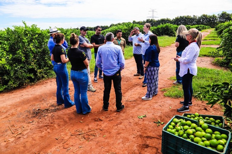 Missão internacional avança na abertura do mercado cubano para frutas brasileiras