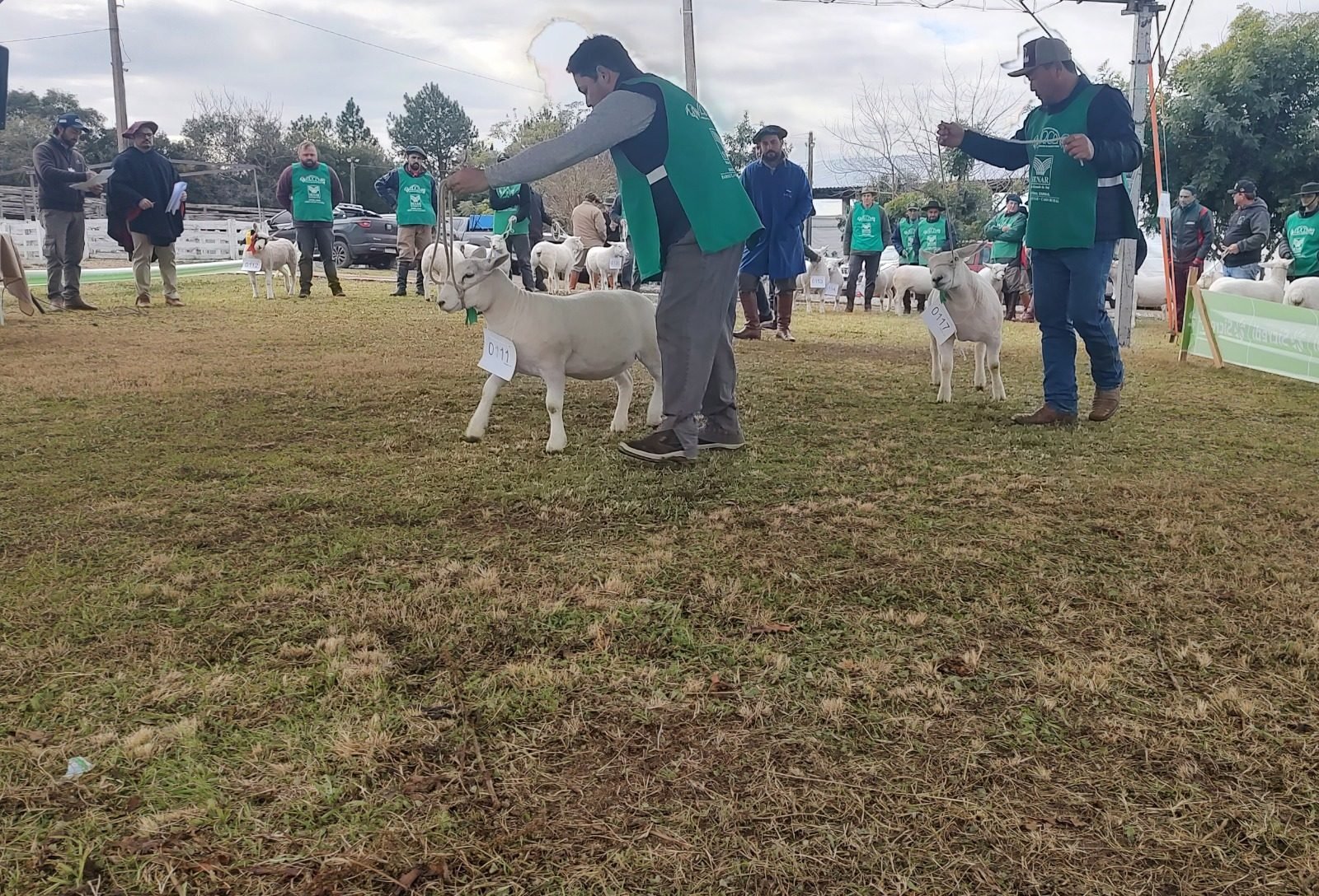 Fenovinos abre inscrições para 38ª edição que acontecerá em Esteio