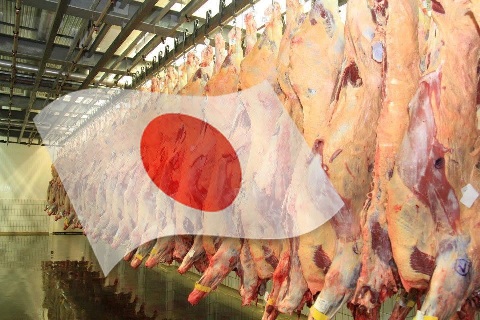 Oportunidade bilionária: Japão envia missão técnica para liberar carne bovina brasileira