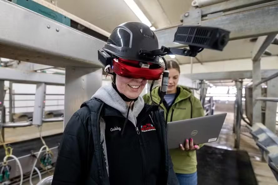 O que as vacas veem? Dispositivo que replica a visão animal auxilia no manejo e bem-estar; veja